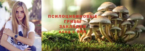 ПСИЛОЦИБИНОВЫЕ ГРИБЫ Нефтегорск