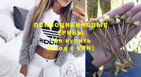 ПСИЛОЦИБИНОВЫЕ ГРИБЫ Нефтегорск